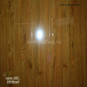 103kanada