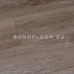 Boho_dub_vostochniy3_1