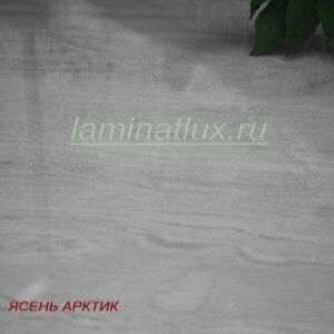 yasen-arktik